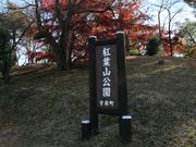 taroさんの紅葉山公園の投稿写真1