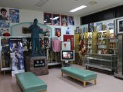 たかちゃんさんの芸道一代細川たかし生地の投稿写真1