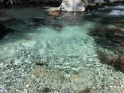 みんちゃんさんの大芦川の投稿写真1