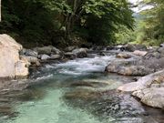 みんちゃんさんの大芦川の投稿写真3