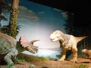 junさんのミュージアムパーク茨城県自然博物館の投稿写真1