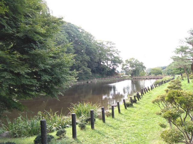 ゆみぶさんの乙女湖公園の投稿写真1