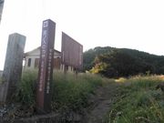 ゆみぶさんの宮ノ入のカヤの投稿写真1