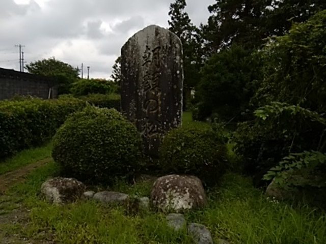 石碑_朝顔目明きの松
