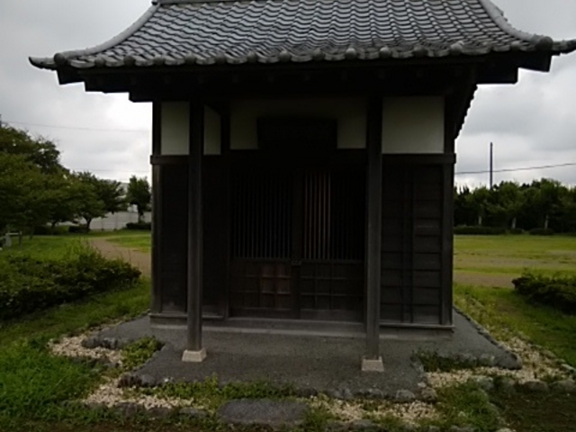 朝顔堂_朝顔目明きの松