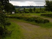 K2さんの朝顔目明きの松の投稿写真5