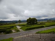 K2さんの朝顔目明きの松の投稿写真6