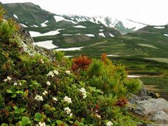 ちょこさんの大雪山(黒岳)への投稿写真1