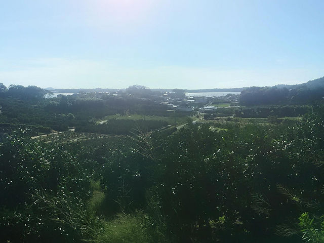 湖畔から離れた丘から_浜名湖