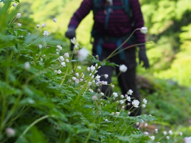 岳さんの横山岳の投稿写真1