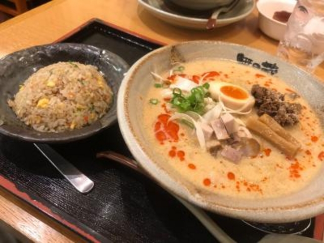 辛味噌ラーメンと半炒飯。_越後秘蔵麺 無尽蔵 だいせん家