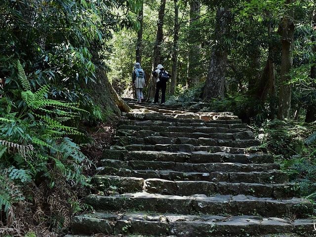 熊野古道(和歌山県田辺市)