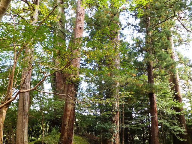 北畠氏館跡庭園