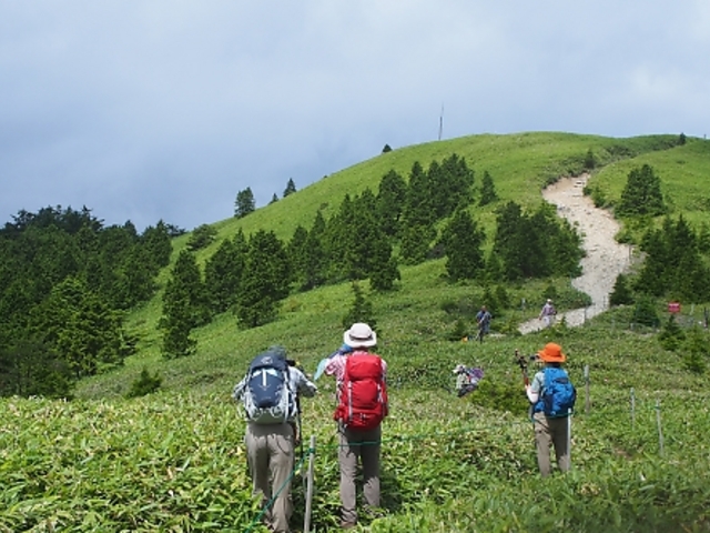 笹の高原状の山です_富士見台高原(長野県阿智村)