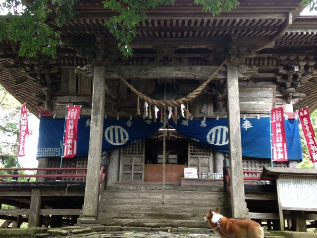 トモミさんの華足寺の投稿写真3