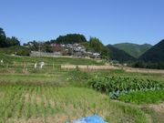 ま〜ぼ〜さんの横瀬町の寺坂棚田の投稿写真1