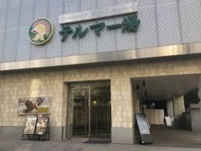 女性に人気なようです!_テルマー湯