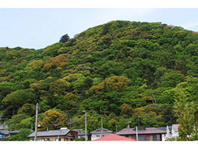 自然のパワーに癒されますね!_高麗山