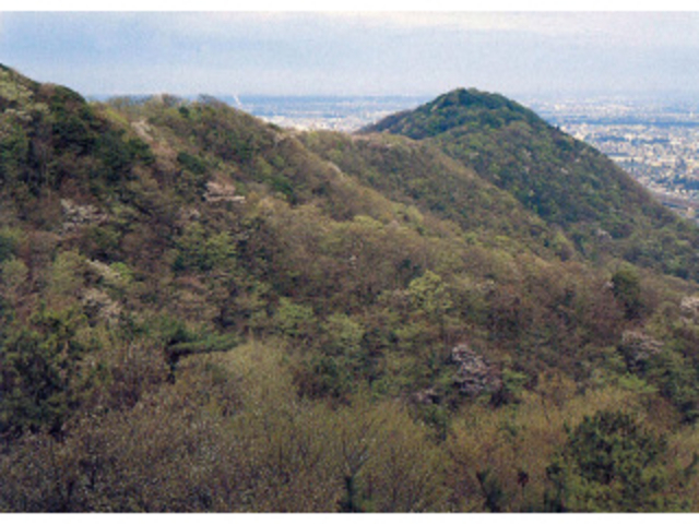 癒されました!_高麗山
