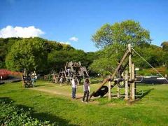 カワさんの木場公園への投稿写真1