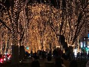 ちんぱんさんの定禅寺通の投稿写真1