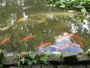 たかちゃんさんの永山神社の投稿写真3
