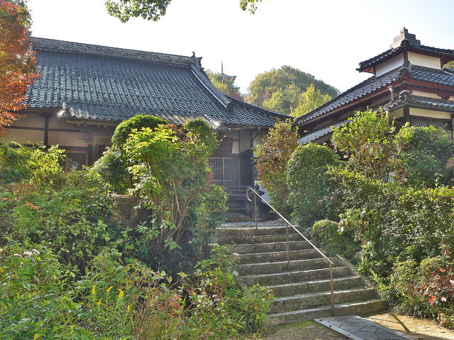 長法寺_長法寺(あじさい寺)