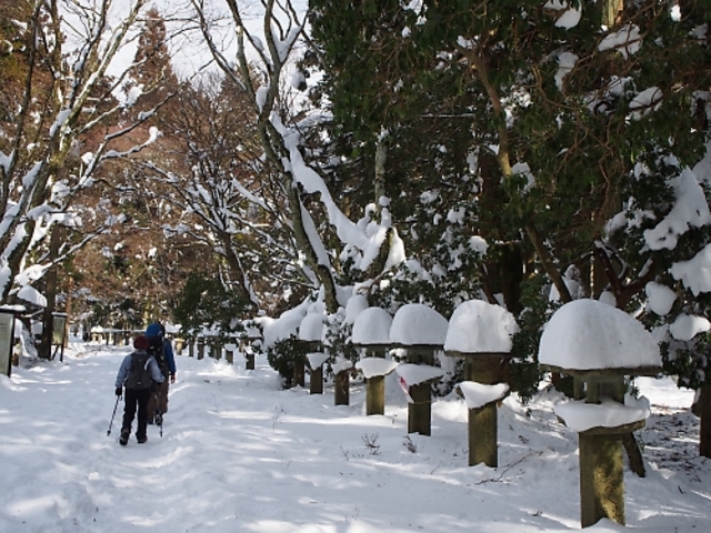 愛宕神社参道_愛宕神社