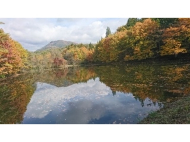 山の紅葉_若菜農園