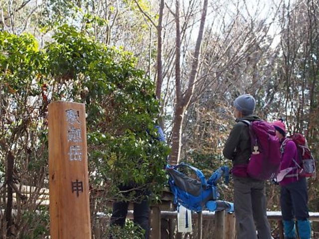 樹林に囲まれた釈迦岳頂上_釈迦岳