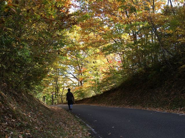 okeiさんの西の郷遊歩道の投稿写真3