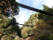 むらさんさんの五家荘の紅葉の投稿写真7