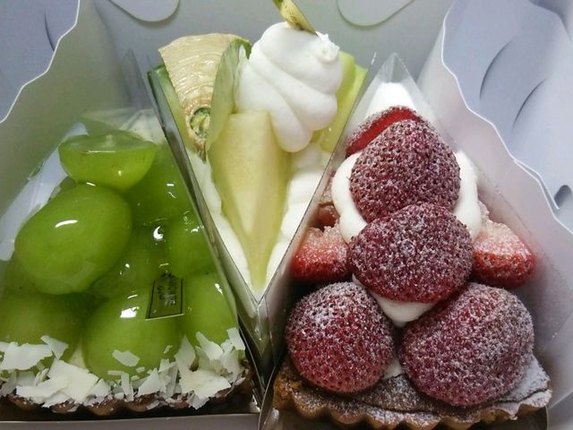 豪華_アローツリー