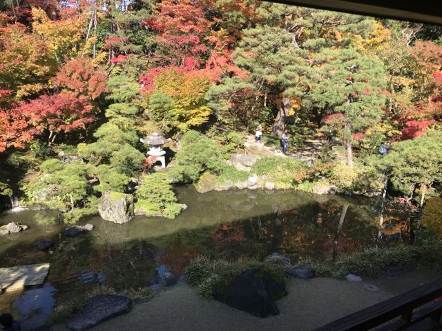 快晴に恵まれて、紅葉もなお美しい。_行形亭