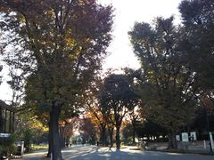 あきちゃんさんの駒沢オリンピック公園への投稿写真1