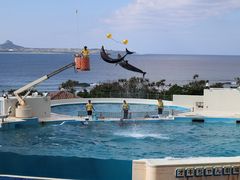 おはぎさんの海洋博公園への投稿写真1