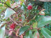 おけいさんの日本玩具博物館の投稿写真2