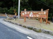 くまちゃんさんの油山市民の森の投稿写真1