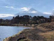 みこにゃんさんの大池公園の投稿写真1