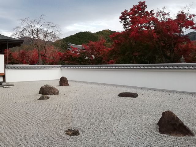 白砂の石庭と白壁、赤い紅葉がうつくしい_宝徳寺