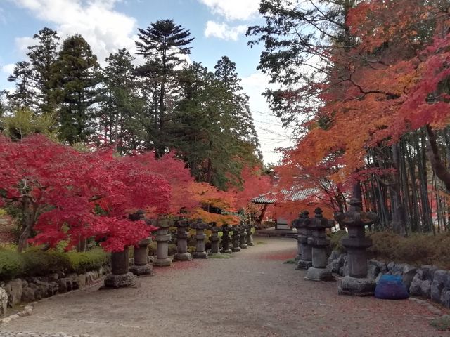 山門をくぐり石灯籠と鮮やかな紅葉の道をすすむ_能仁寺