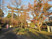 すずめめだかさんのあし湯霧島の投稿写真1