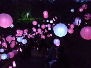 しんじさんの桃陵公園の投稿写真1