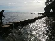 コウスケさんの九十九湾の投稿写真1