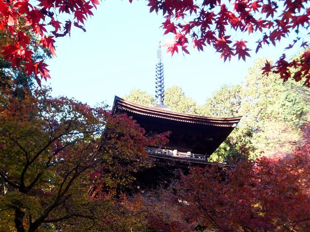 金剛輪寺 三重塔