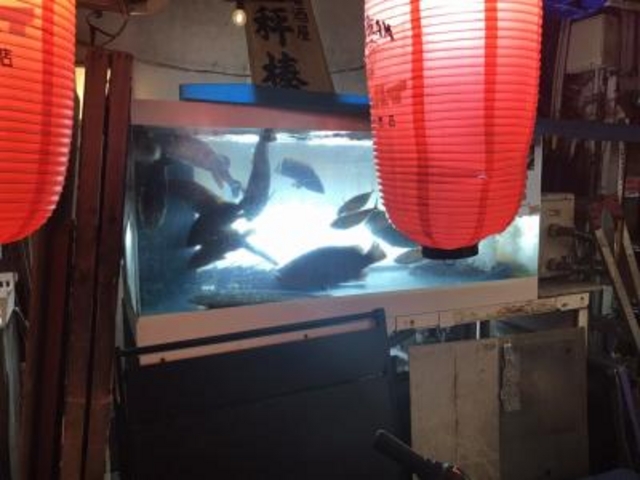 外には水槽も_海鮮居酒屋 天秤棒 千日前本店