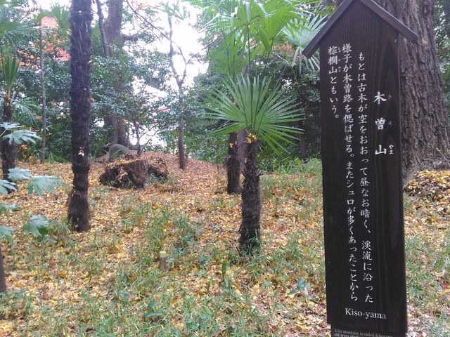 木曽山_木曽山(小石川後楽園)
