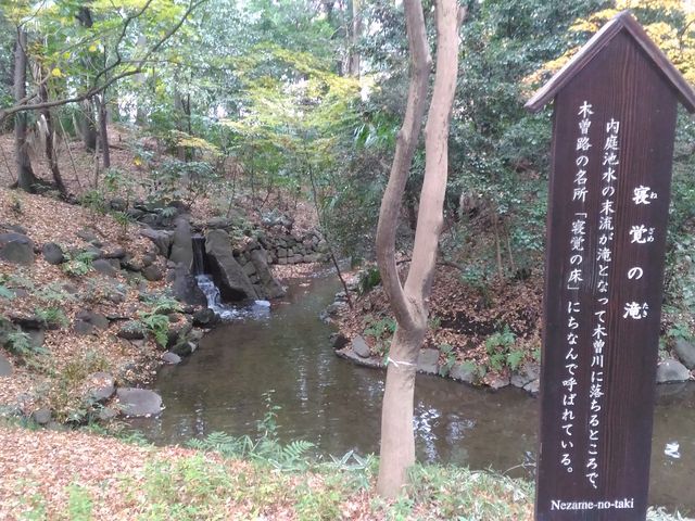静かな寝覚の滝_寝覚の滝(小石川後楽園)