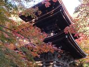 こぼらさんの金剛輪寺 三重塔の投稿写真1