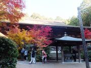 こぼらさんの金剛輪寺 本堂の投稿写真1